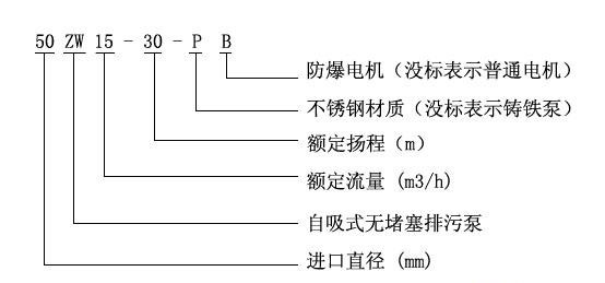 ZWPB型不锈钢防爆自吸式无堵塞合欢app下载污免费版型号意义